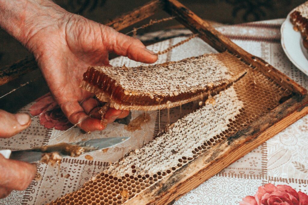 A beekeeper collecting raw honey from a hive, showcasing the ethical and natural sourcing process behind Pure Desi honey.